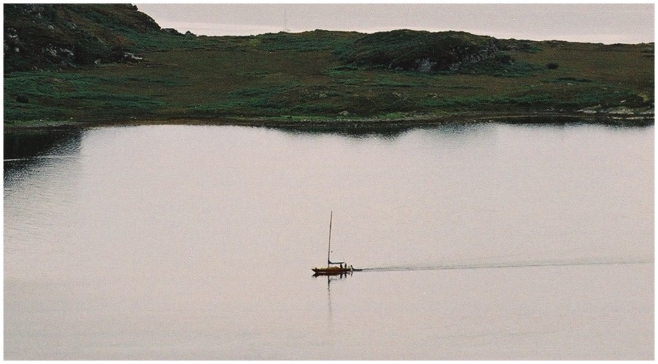 Hiltgund - 2003